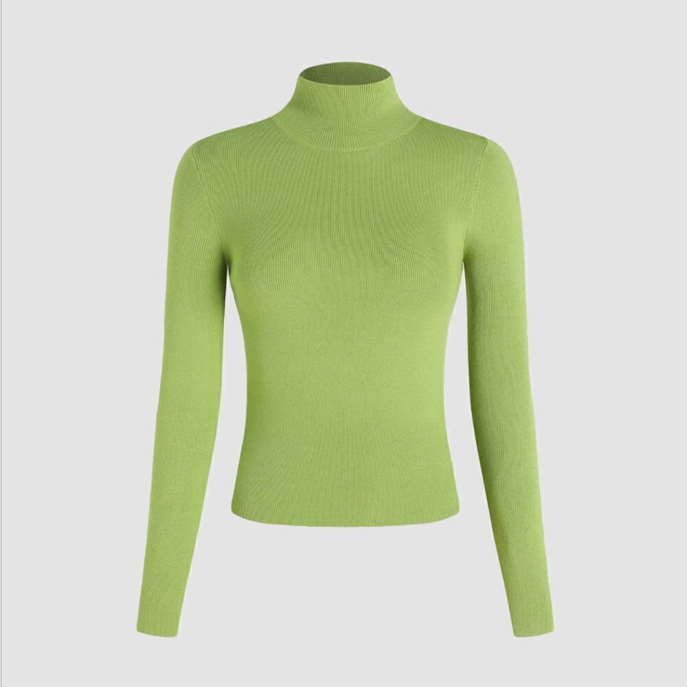Cider Ribbed Knit Fitted Long Sleeve Turtleneck Top Apple Brat Green XL